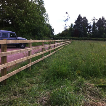 Equestrian post and rail fence